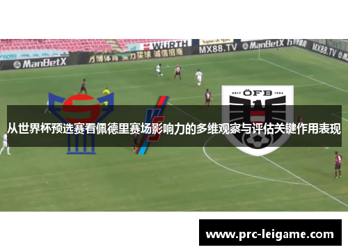从世界杯预选赛看佩德里赛场影响力的多维观察与评估关键作用表现